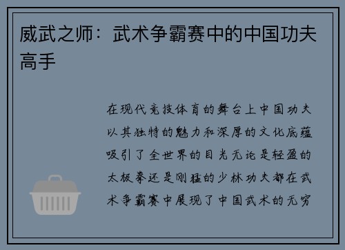 威武之师：武术争霸赛中的中国功夫高手